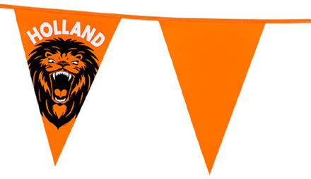 Vlaggenlijn XL - oranje met leeuw - 8 meter - 14 vlaggen - kunststof - Vlaggenlijnen