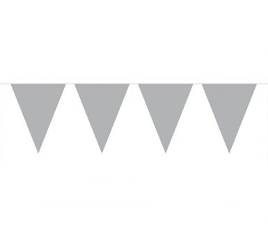 Vlaggenlijn zilver 10 meter - Vlaggenlijnen Zilverkleurig
