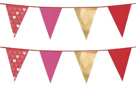 Vlaggenlijnen Love/Valentijn thema - Set van 2x stuks - 6 meter - polyester - liefde slingers - hart