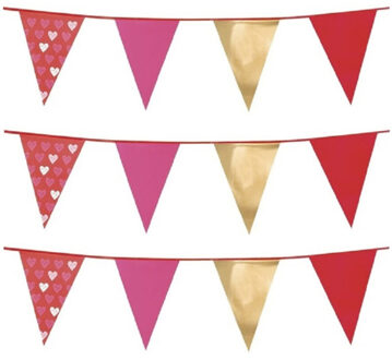 Vlaggenlijnen Love/Valentijn thema - Set van 3x stuks - 6 meter - polyester - liefde slingers - hart