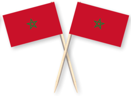 Vlaggenprikkers Marokko (50st) Rood - Zalm