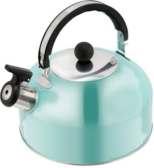 Vlakke Bodem Ketel Duurzaam Theepot Kokend Ketel Rvs Waterkoker