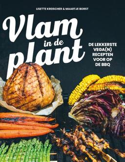 Vlam in de plant -  Lisette Kreischer, Maartje Borst (ISBN: 9789043931151)