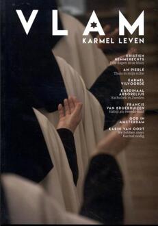 Vlam - Jan-Willem Wits