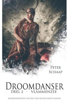 Vlammenzee - Boek Peter Schaap (9463080813)