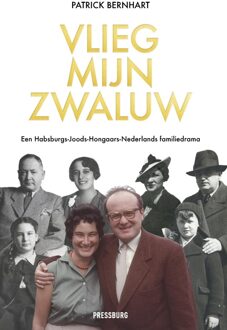 Vlieg, mijn zwaluw - Patrick Bernhart - ebook