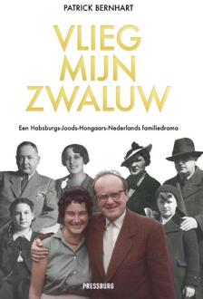 Vlieg, Mijn Zwaluw - Patrick Bernhart