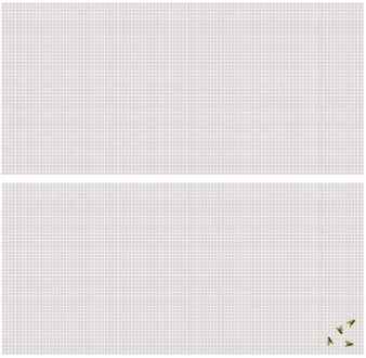 Vliegen/insecten opzet raam hor - 2x - wit - 2,2 x 0,75 m - hordoeken - insecten werend