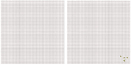 Vliegen/insecten opzet raam hor - 2x - wit - 2,5 x 2,5 m - hordoeken - insecten werend