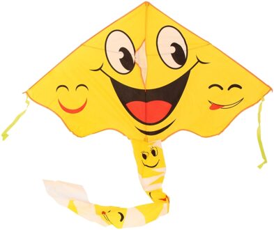 Vlieger Lach, 70x115cm