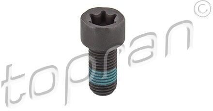 Vliegwielschroef 208861