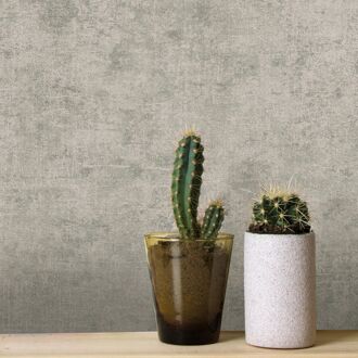 Vliesbehang Beton Metallic - Taupe - 10,05m X 52cm