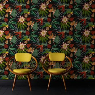 Vliesbehang Parrot - Meerkleurig - 10,05m X 52cm