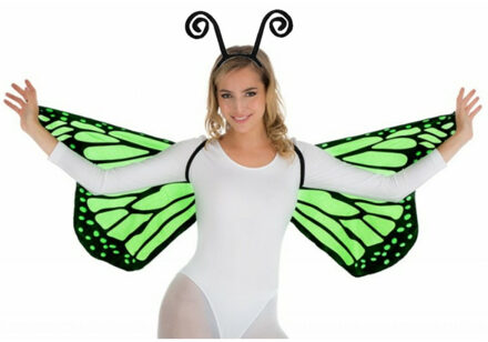Vlinder verkleed set - vleugels en diadeem - groen - volwassenen - carnaval verkleed accessoires