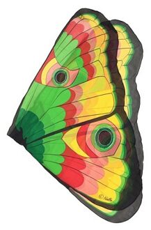 Vlinder vleugels gekleurd voor kids Multi