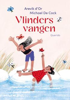 Vlinders vangen -  Michael de Cock (ISBN: 9789045132082)
