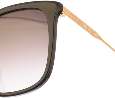 Vlindervormige acetaat zonnebril LO706S Dames Zwart - One Size