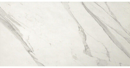 Vloer- en wandtegel Roma Statuario mat 75x150 cm Gerectificeerd Marmer look Mat Wit/zwart SW07310505-5 Wit/zwart mat