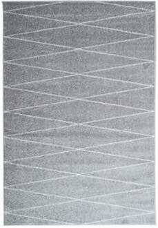 Vloerkleed Florence etnisch - grijs - 160x230 cm - Leen Bakker - 230 x 160