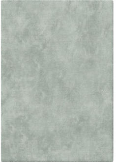 Vloerkleed Leno - aqua - 120x170 cm - Leen Bakker Blauw - 170 x 120