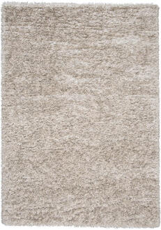 Vloerkleed Rengali - 160x230 Cm - Gerecycled Kunststof - Taupe