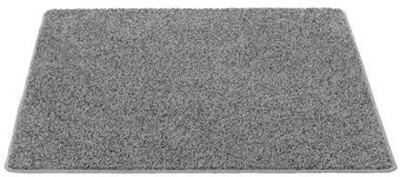 Vloerkleed Sfinx - grijs - 120x160 cm - Leen Bakker - 160 x 120
