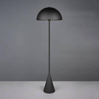 Vloerlamp Alfie, zwart mat, metaal, E27