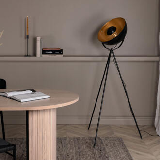 Vloerlamp 'Domingue' 159cm hoog Zwart