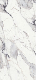 Vloertegel 120x280 cm Magnum Glans Argent - Vloertegel 120x280 cm Magnum Glans Argent (prijs Per Tegel)