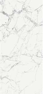 Vloertegel 120x280 cm Magnum Glans Blanc - Vloertegel 120x280 cm Magnum Glans Blanc (prijs Per Tegel)