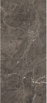 Vloertegel 120x280 cm Magnum Glans Brown - Vloertegel 120x280 cm Magnum Glans Brown (prijs Per Tegel)
