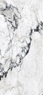 Vloertegel 120x280 cm Magnum Glans Calacatta Altissimo - Vloertegel 120x280 cm Magnum Glans Calacatta Altissimo (prijs Per Tegel)