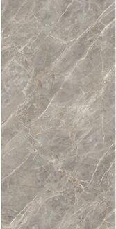 Vloertegel 120x280 cm Magnum Glans Gris - Vloertegel 120x280 cm Magnum Glans Gris (prijs Per Tegel)