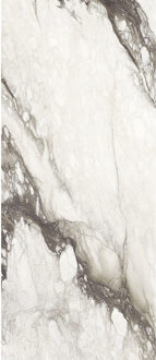 Vloertegel 120x280 cm Magnum Glans Renoir - Vloertegel 120x280 cm Magnum Glans Renoir (prijs Per Tegel)