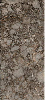 Vloertegel 120x280 cm Magnum Glans Riverbed - Vloertegel 120x280 cm Magnum Glans Riverbed (prijs Per Tegel)