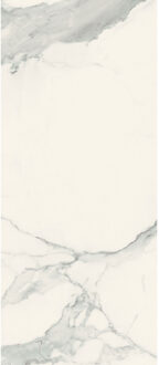 Vloertegel 120x280 cm Magnum Glans Statuario - Vloertegel 120x280 cm Magnum Glans Statuario (prijs Per Tegel)