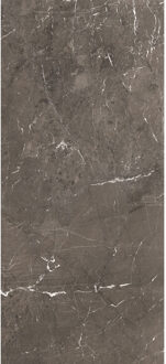 Vloertegel 120x280 cm Magnum Mat Brown - Vloertegel 120x280 cm Magnum Mat Brown (prijs Per Tegel)