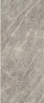 Vloertegel 120x280 cm Magnum Mat Gris - Vloertegel 120x280 cm Magnum Mat Gris (prijs Per Tegel)