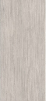 Vloertegel 120x280 cm Magnum Plank 4 - Vloertegel 120x280 cm Magnum Plank 4 (prijs Per Tegel)