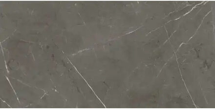 Vloertegel ABK Imoker Sensi 60x120 cm Glans Stone Grey Abk Imoker