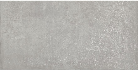 Vloertegel Ape Think 60x120 Gerectificeerd Grey Ape Grupo