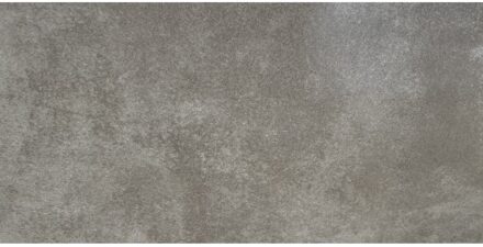 Vloertegel Cement Grigio 30x60 Profiker