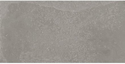 Vloertegel Douglas & Jones Fusion Bright Grey 30x60 cm Grijs Douglas & Jones