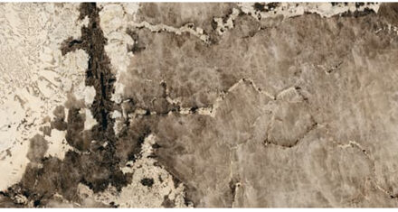 Vloertegel Douglas & Jones Magnum 60x120 cm Marmerlook Gerectificeerd 6 mm Mat Flame Douglas & Jones