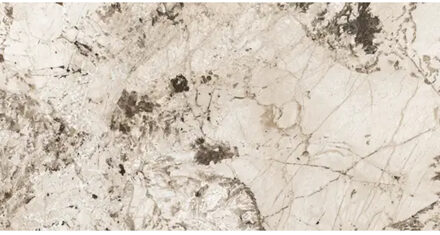 Vloertegel Douglas & Jones Magnum 60x120 cm Marmerlook Gerectificeerd 6 mm Mat Glacier Douglas & Jones