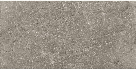 Vloertegel Douglas & Jones Province 40x80 cm Gerectificeerd Mat Grey Douglas & Jones