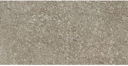Vloertegel Douglas & Jones Province 40x80 cm Gerectificeerd Mat Taupe Douglas & Jones