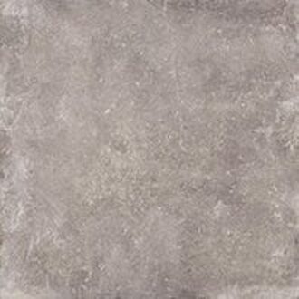 Vloertegel Dream Taupe 80x80 cm (Doosinhoud 1.28 m2)
