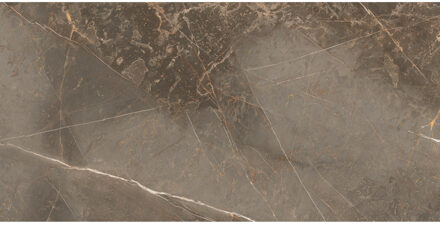 Vloertegel Etile Manhattan 60x120 cm Natural Earth E-Tile