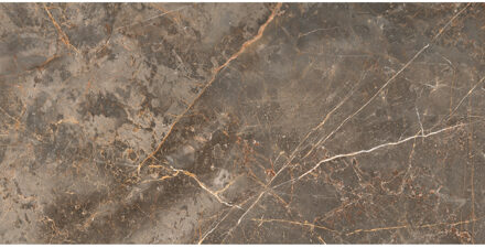 Vloertegel Etile Manhattan 60x120 cm Pulido Earth E-Tile